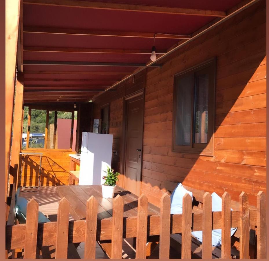 Violet Village Borsh Exterior foto