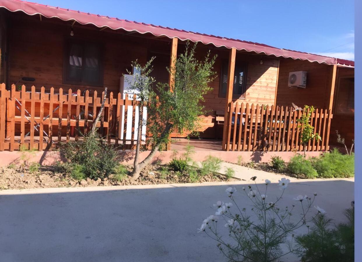 Violet Village Borsh Exterior foto