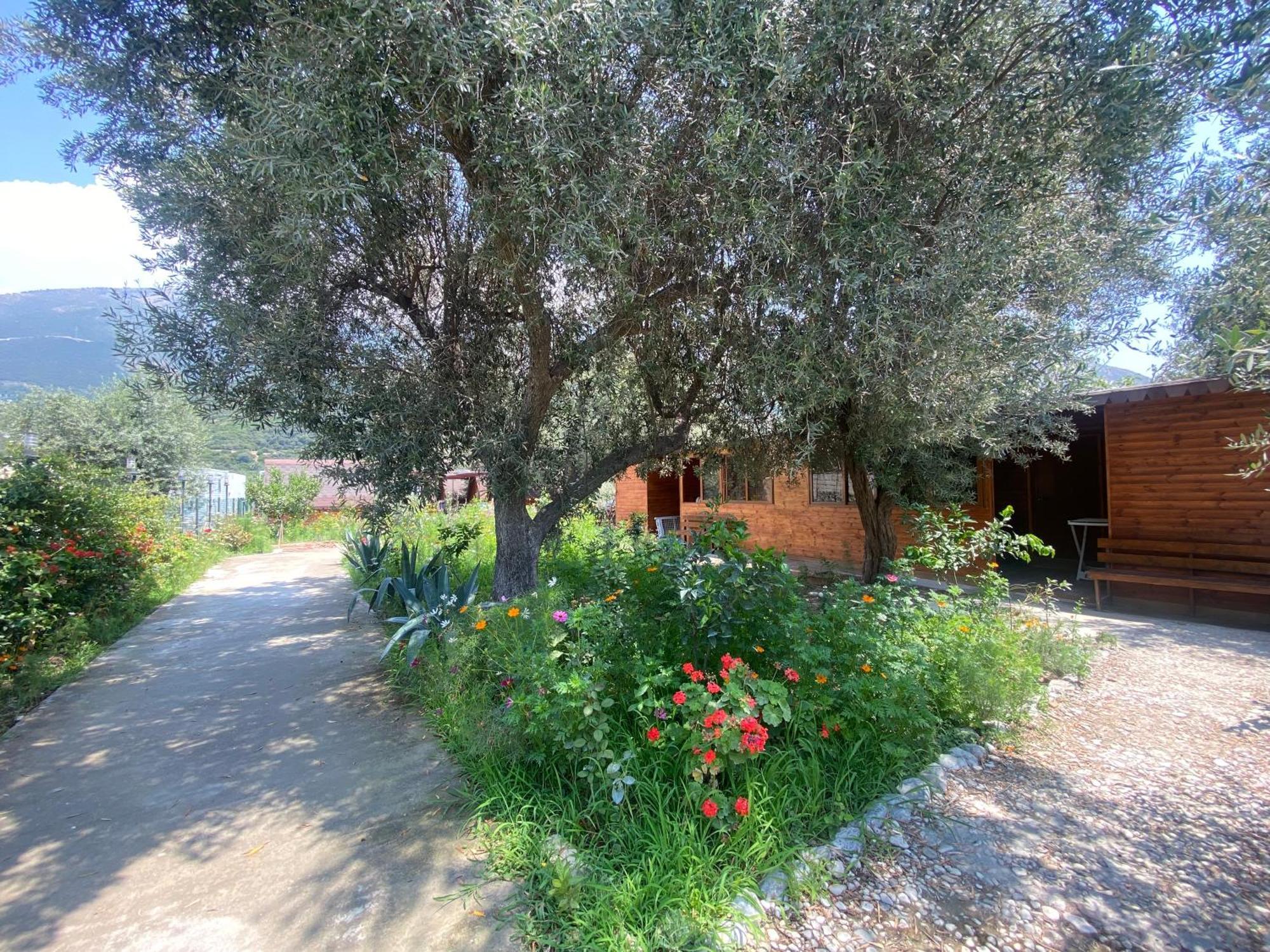 Violet Village Borsh Exterior foto